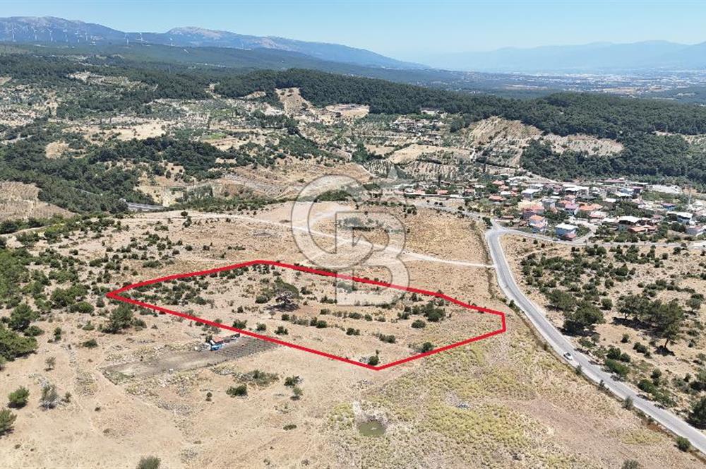 İZMİR BORNOVA KARAÇAM YOL CEPHELİ TARLA 