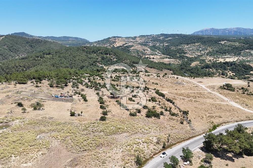 İZMİR BORNOVA KARAÇAM YOL CEPHELİ TARLA 