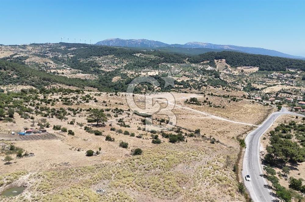 İZMİR BORNOVA KARAÇAM YOL CEPHELİ TARLA 