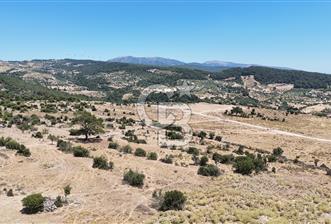 İZMİR BORNOVA KARAÇAM YOL CEPHELİ TARLA  - 10 - 362155