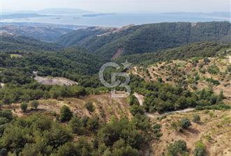 güzelbahçe payamlı da satılık bağ - 6 - 362195