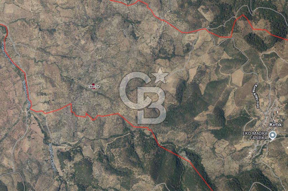 BALIKESİR;BURHANİYE,KIRTIK DA SATILIK YATIRIMLIK ZEYTİNLİK