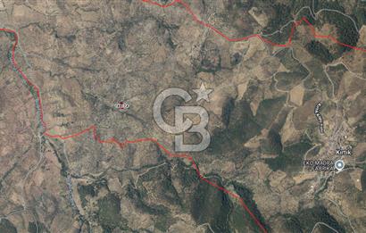 BALIKESİR;BURHANİYE,KIRTIK DA SATILIK YATIRIMLIK ZEYTİNLİK