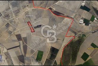 Adana Ceyhan Büyükmangıt'ta 25.460 m² Satılık Sulu Tarla - 2 - 362203