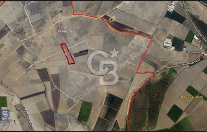 Adana Ceyhan Büyükmangıt'ta 25.460 m² Satılık Sulu Tarla