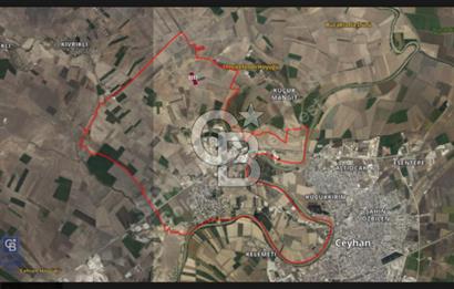 Adana Ceyhan Büyükmangıt'ta 25.460 m² Satılık Sulu Tarla