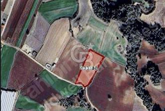 Karaisalı Salbaş Kuzgun da Satılık Arazi - 1 - 362207