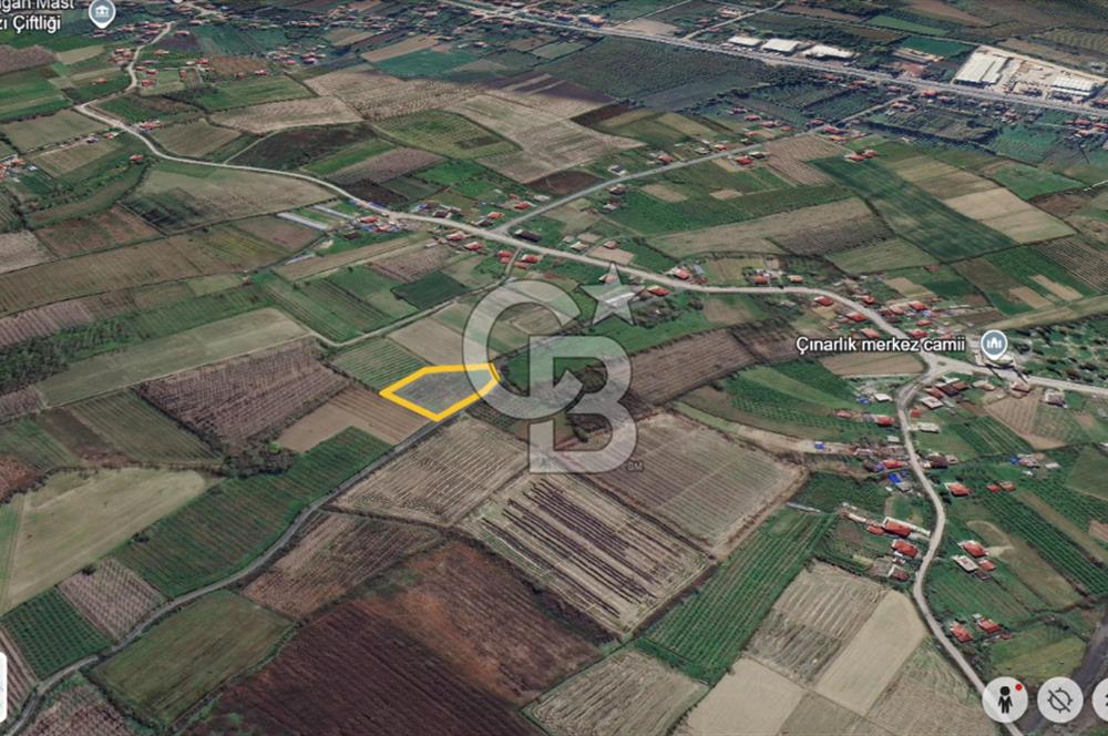 ÇINARLIK MERKEZDE İMARI PLANLANMIŞ SATILIK TARLA -2