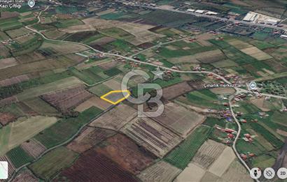 ÇINARLIK MERKEZDE İMARI PLANLANMIŞ SATILIK TARLA -2