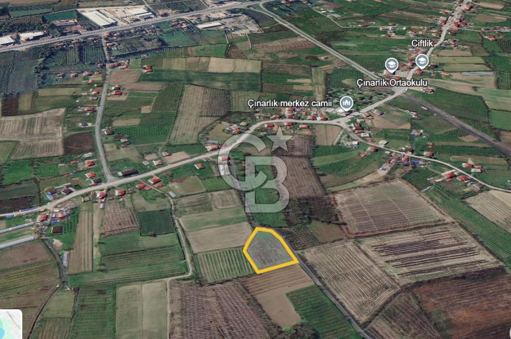 ÇINARLIK MERKEZDE İMARI PLANLANMIŞ SATILIK TARLA -2