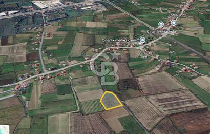 ÇINARLIK MERKEZDE İMARI PLANLANMIŞ SATILIK TARLA -2