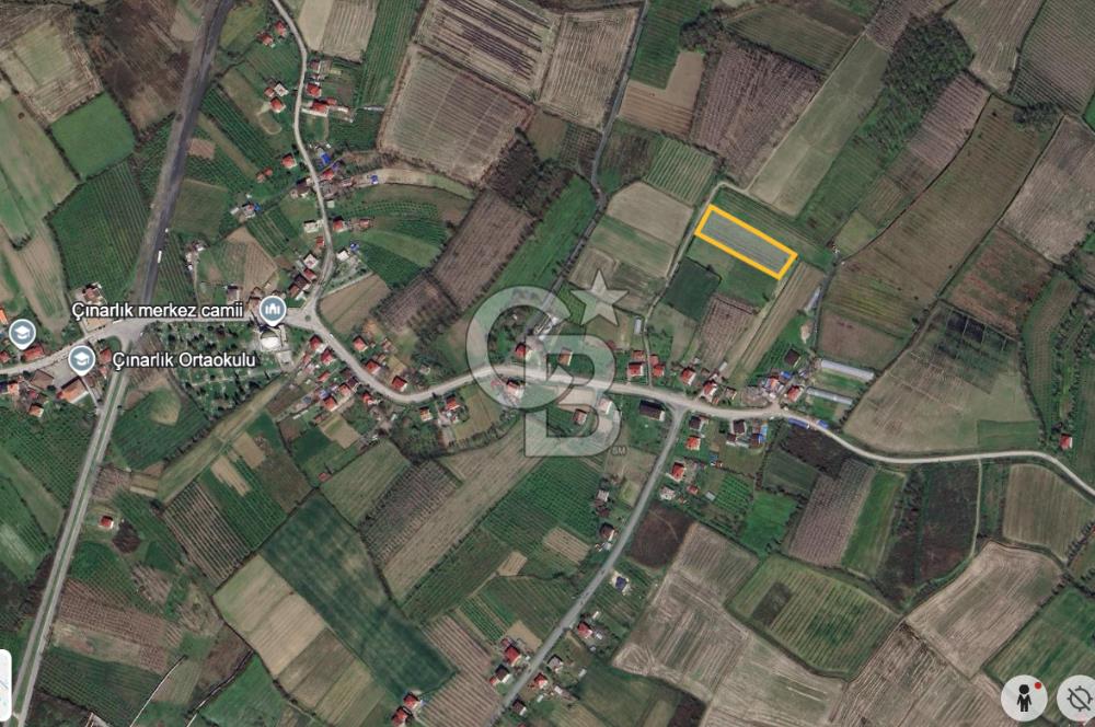 ÇINARLIK MERKEZDE İMARI PLANLANMIŞ SATILIK TARLA