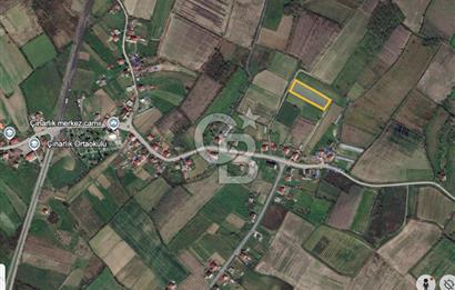 ÇINARLIK MERKEZDE İMARI PLANLANMIŞ SATILIK TARLA