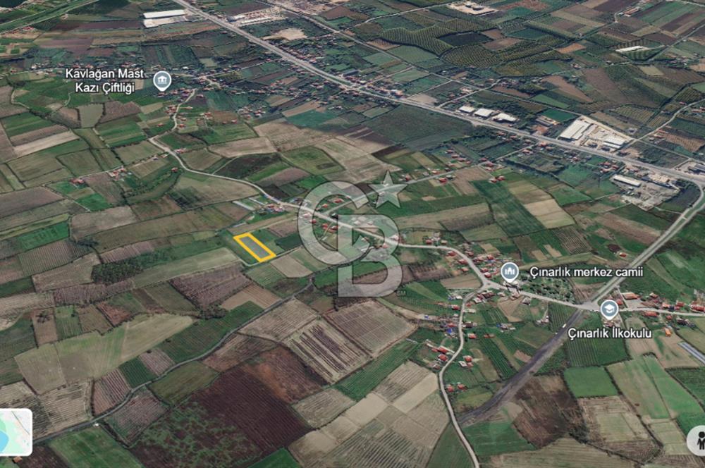ÇINARLIK MERKEZDE İMARI PLANLANMIŞ SATILIK TARLA