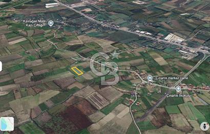 ÇINARLIK MERKEZDE İMARI PLANLANMIŞ SATILIK TARLA