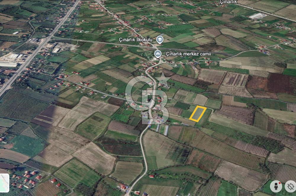 ÇINARLIK MERKEZDE İMARI PLANLANMIŞ SATILIK TARLA