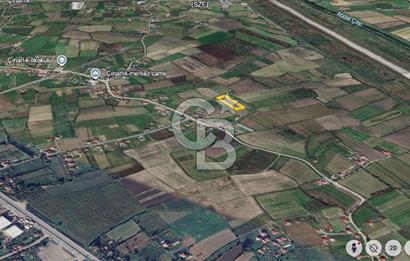 ÇINARLIK MERKEZDE İMARI PLANLANMIŞ SATILIK TARLA