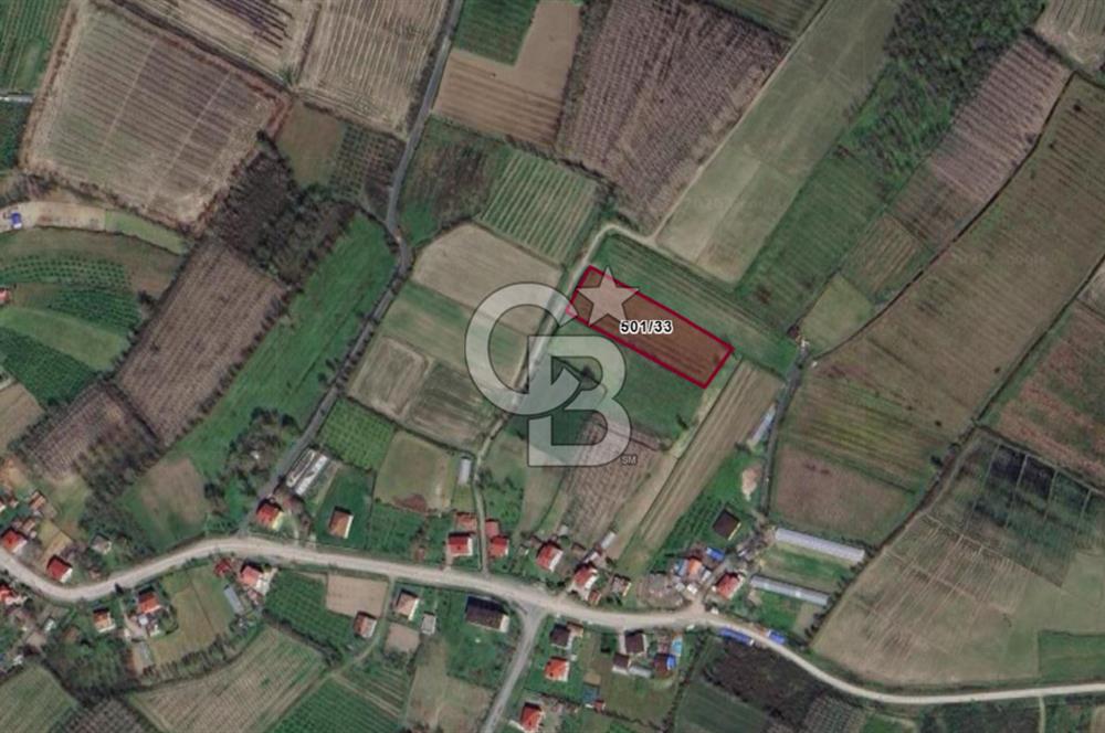 ÇINARLIK MERKEZDE İMARI PLANLANMIŞ SATILIK TARLA