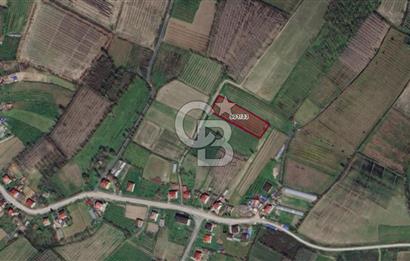 ÇINARLIK MERKEZDE İMARI PLANLANMIŞ SATILIK TARLA