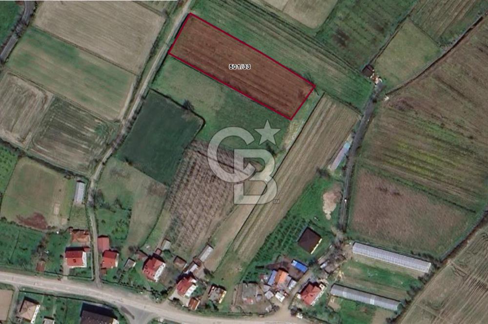ÇINARLIK MERKEZDE İMARI PLANLANMIŞ SATILIK TARLA