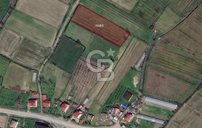 ÇINARLIK MERKEZDE İMARI PLANLANMIŞ SATILIK TARLA