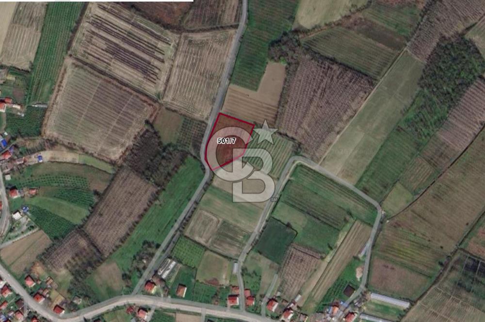 ÇINARLIK MERKEZDE İMARI PLANLANMIŞ SATILIK TARLA -2