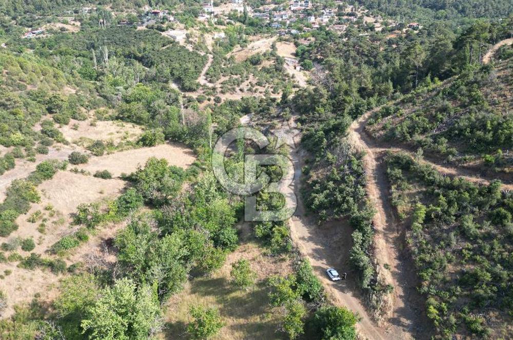 BAYRAMİÇ TOLUKLAR KÖYÜ DERE KENARI ACİL SATILIK FIRSAT TARLA!!!