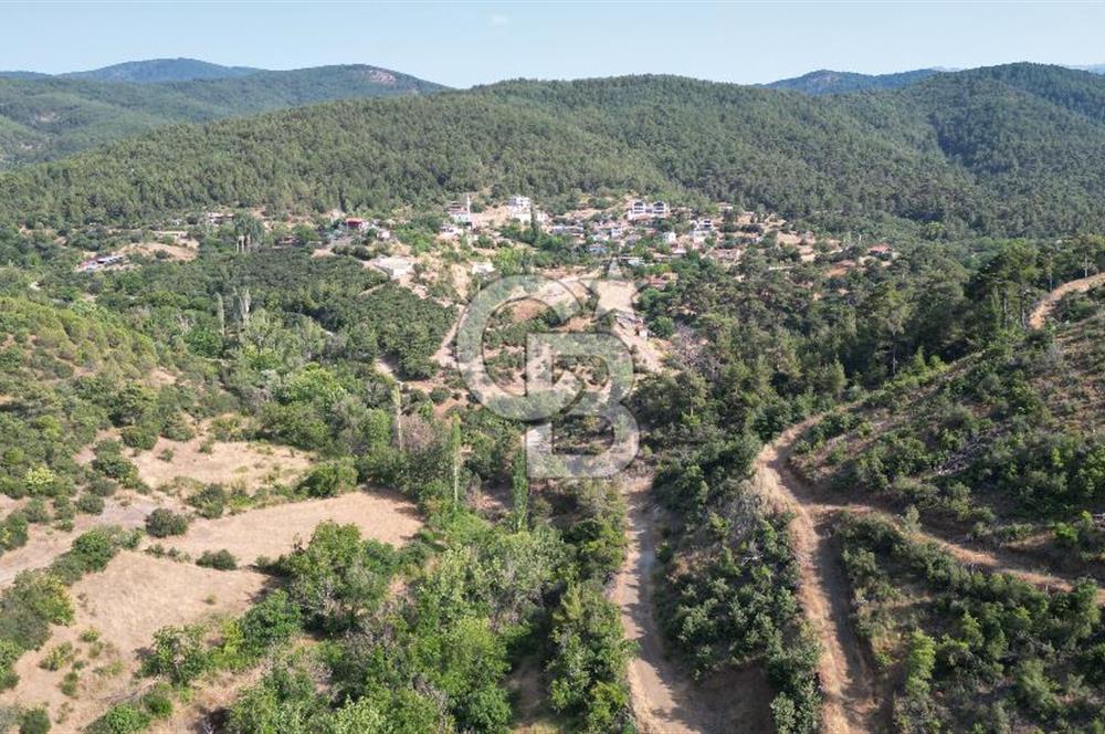 BAYRAMİÇ TOLUKLAR KÖYÜ DERE KENARI ACİL SATILIK FIRSAT TARLA!!!