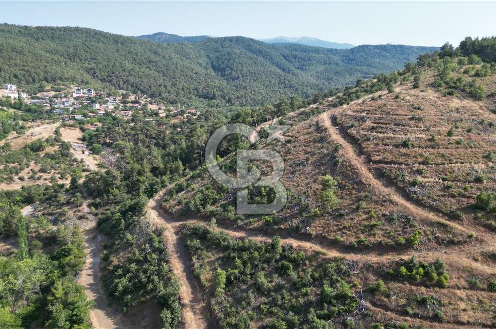 BAYRAMİÇ TOLUKLAR KÖYÜ DERE KENARI ACİL SATILIK FIRSAT TARLA!!!