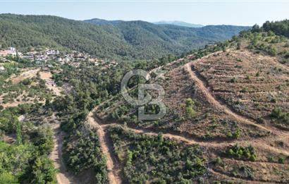 BAYRAMİÇ TOLUKLAR KÖYÜ DERE KENARI ACİL SATILIK FIRSAT TARLA!!!