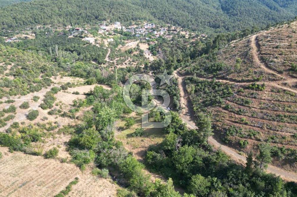 BAYRAMİÇ TOLUKLAR KÖYÜ DERE KENARI ACİL SATILIK FIRSAT TARLA!!!