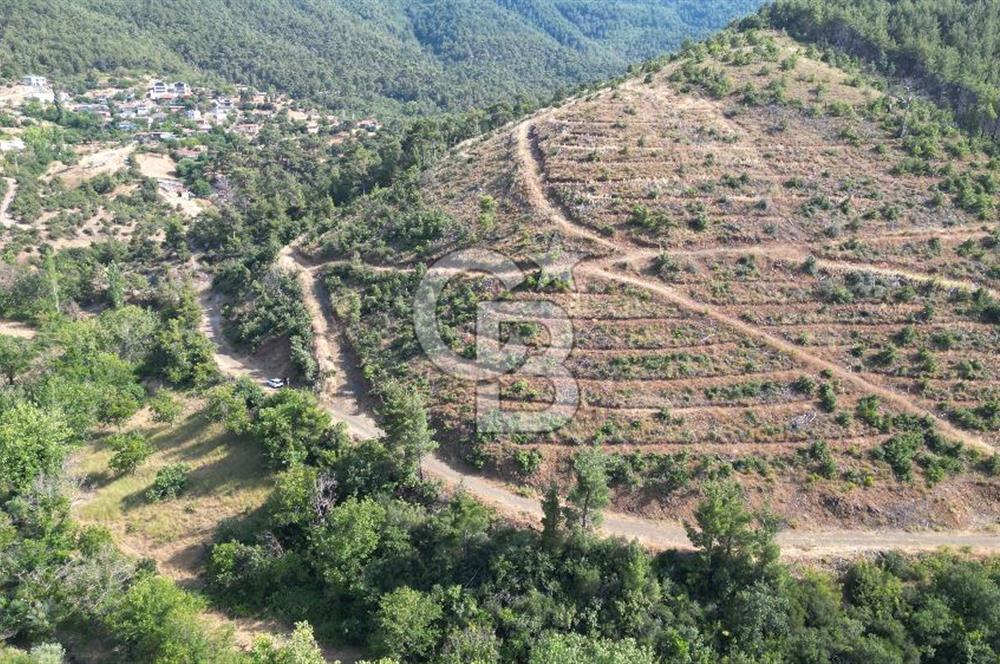 BAYRAMİÇ TOLUKLAR KÖYÜ DERE KENARI ACİL SATILIK FIRSAT TARLA!!!