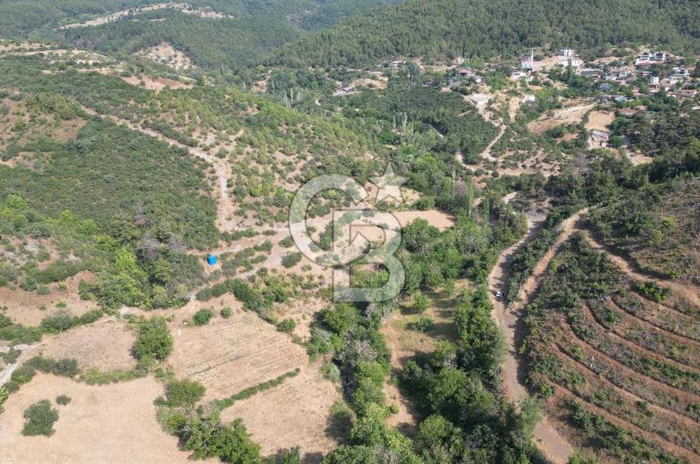 BAYRAMİÇ TOLUKLAR KÖYÜ DERE KENARI ACİL SATILIK FIRSAT TARLA!!!