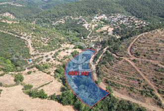 BAYRAMİÇ TOLUKLAR KÖYÜ DERE KENARI ACİL SATILIK FIRSAT TARLA!!! - 1 - 362277