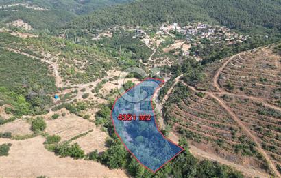 BAYRAMİÇ TOLUKLAR KÖYÜ DERE KENARI ACİL SATILIK FIRSAT TARLA!!!