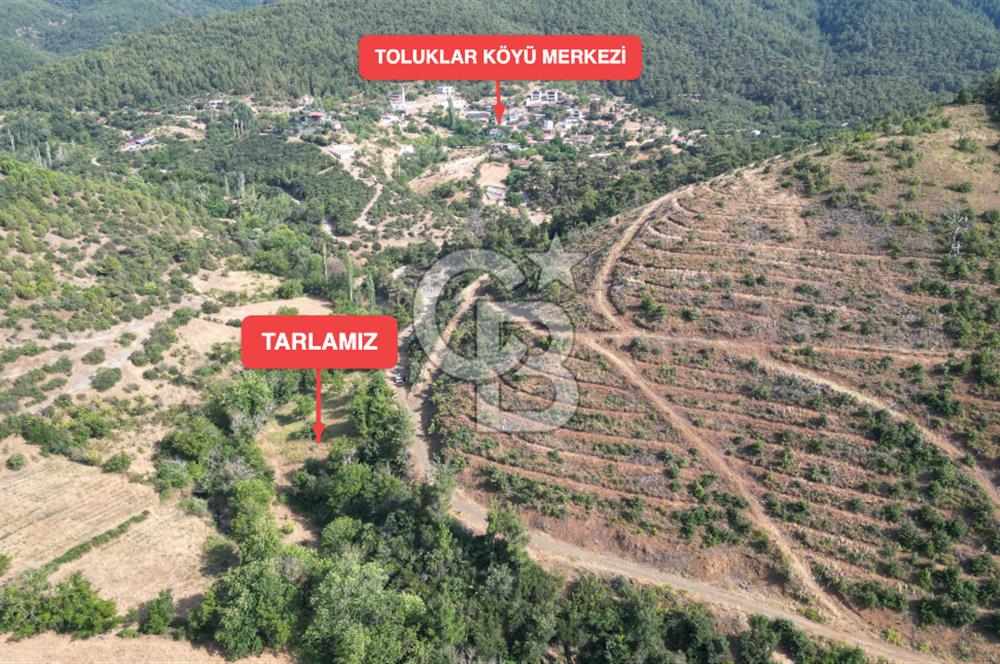 BAYRAMİÇ TOLUKLAR KÖYÜ DERE KENARI ACİL SATILIK FIRSAT TARLA!!!
