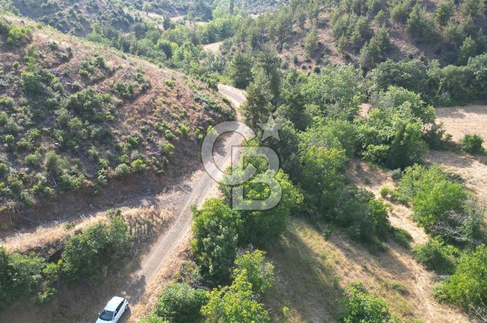BAYRAMİÇ TOLUKLAR KÖYÜ DERE KENARI ACİL SATILIK FIRSAT TARLA!!!
