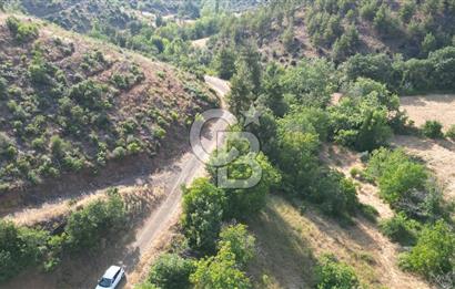 BAYRAMİÇ TOLUKLAR KÖYÜ DERE KENARI ACİL SATILIK FIRSAT TARLA!!!