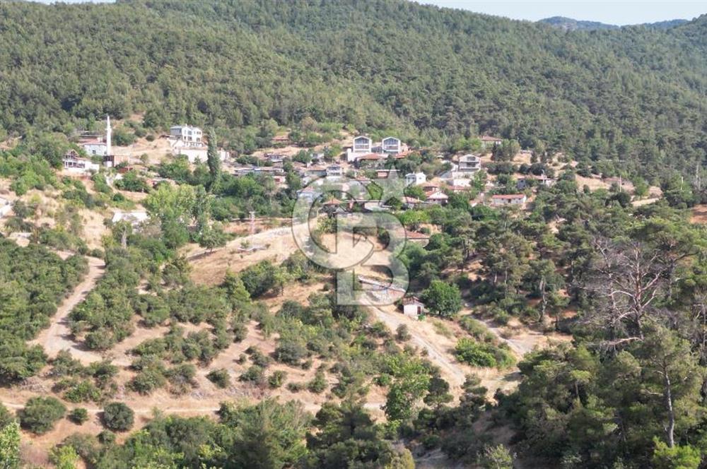 BAYRAMİÇ TOLUKLAR KÖYÜ DERE KENARI ACİL SATILIK FIRSAT TARLA!!!