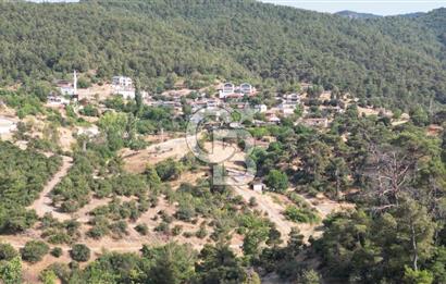 BAYRAMİÇ TOLUKLAR KÖYÜ DERE KENARI ACİL SATILIK FIRSAT TARLA!!!