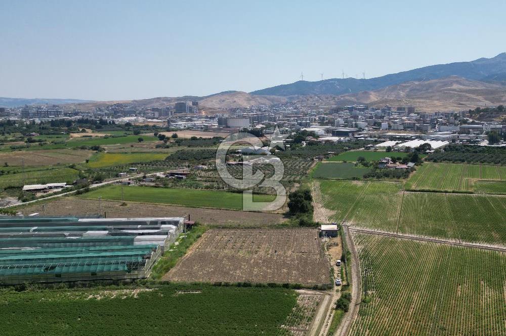 MENEMEN KOYUNDERE’DE SATILIK MÜSTAKİL TARLA