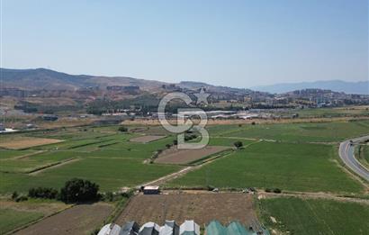 MENEMEN KOYUNDERE’DE SATILIK MÜSTAKİL TARLA