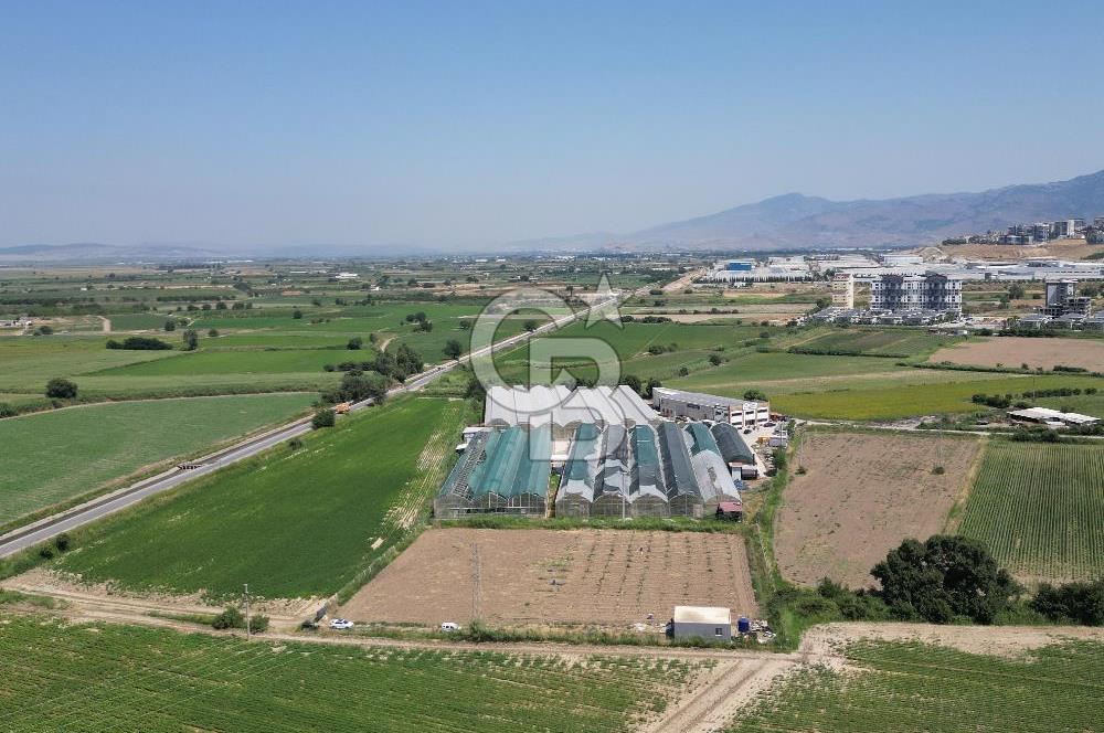 MENEMEN KOYUNDERE’DE SATILIK MÜSTAKİL TARLA
