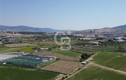 MENEMEN KOYUNDERE’DE SATILIK MÜSTAKİL TARLA