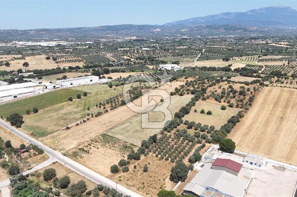 Torbalı Sanayi Bölgesinde AnaYola Cepheli Yatırımlık Tarla