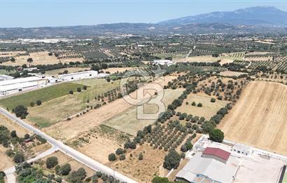 Torbalı Sanayi Bölgesinde AnaYola Cepheli Yatırımlık Tarla