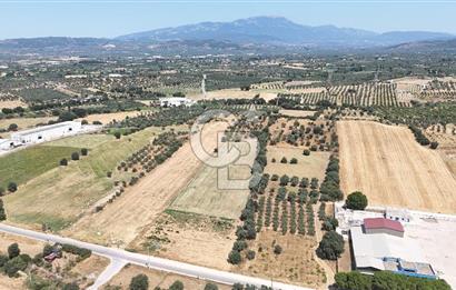 Torbalı Sanayi Bölgesinde AnaYola Cepheli Yatırımlık Tarla