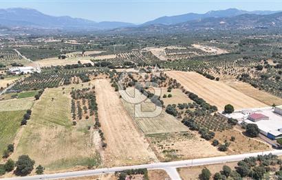 Torbalı Sanayi Bölgesinde AnaYola Cepheli Yatırımlık Tarla