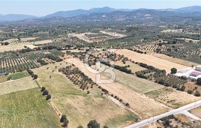 Torbalı Sanayi Bölgesinde AnaYola Cepheli Yatırımlık Tarla