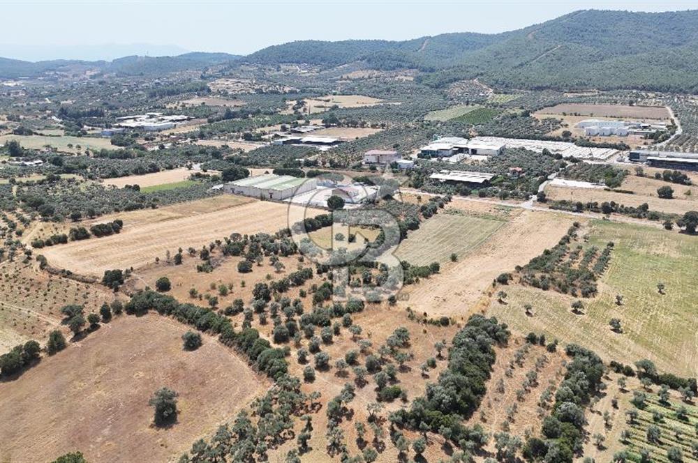 Torbalı Sanayi Bölgesinde AnaYola Cepheli Yatırımlık Tarla